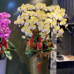 Chậu Lan Hồ Điệp Vàng Gold 9 Cành (Đ9-NV1/01)