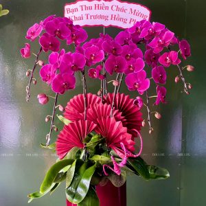 Chậu Lan Hồ Điệp Tím 5 Cành (Đ5-TI1/02)