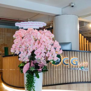 Chậu Lan Hồ Điệp Hồng Pastel 10 Cành (Đ10-NH1/01/CP)