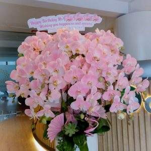 Chậu Lan Hồ Điệp Hồng Pastel 10 Cành (Đ10-NH1/01/CP)