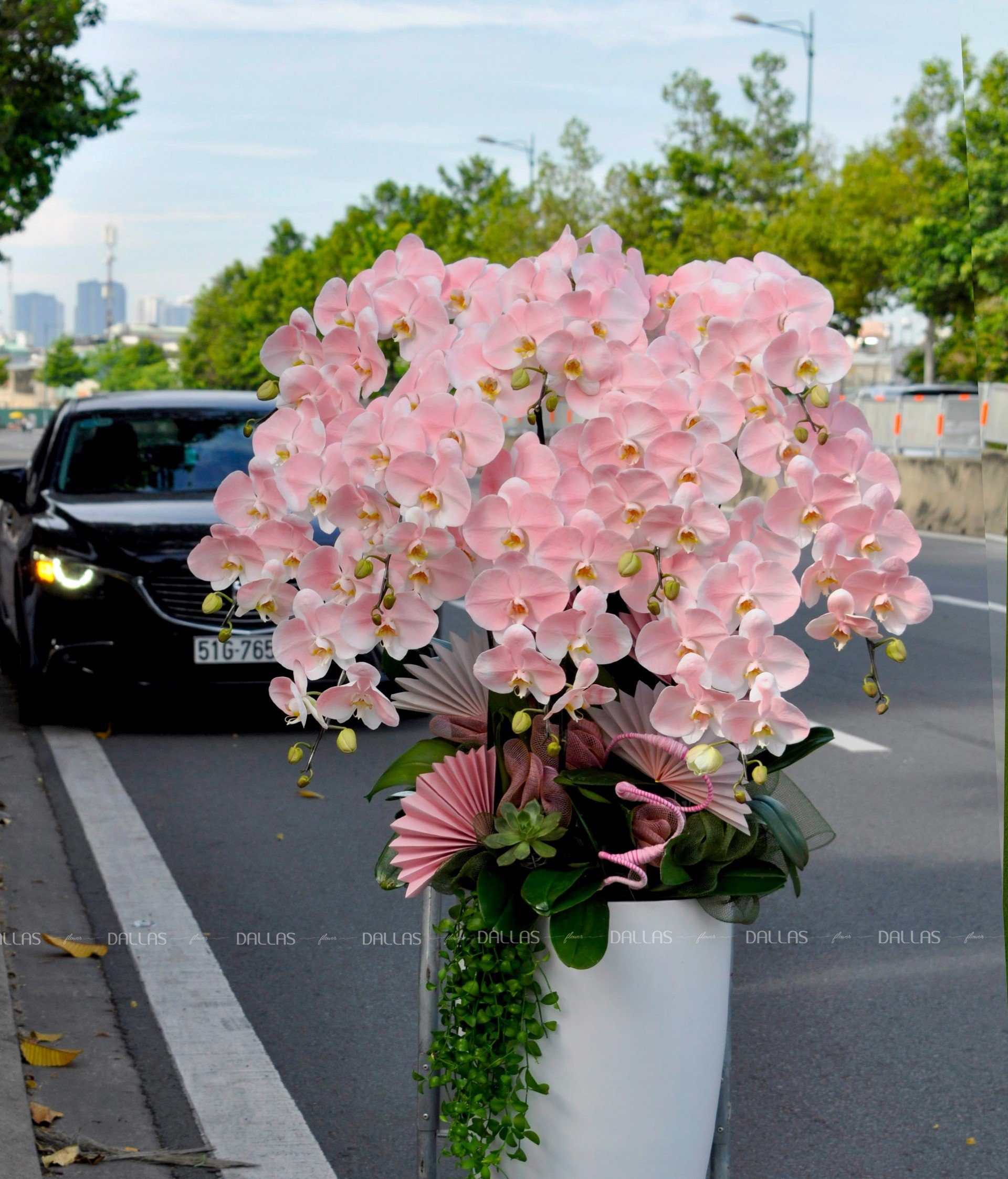 Chậu Lan Hồ Điệp Hồng Pastel 10 Cành (Đ10-NH1/01/CP) Chậu Lan Hồ Điệp Hồng Pastel 10 Cành (Đ10-NH1/01/CP)