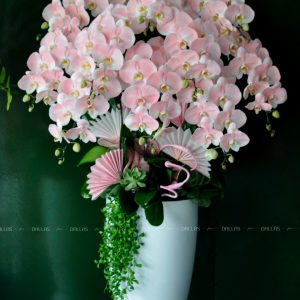 Chậu Lan Hồ Điệp Hồng Pastel 10 Cành (Đ10-NH1/01/CP)