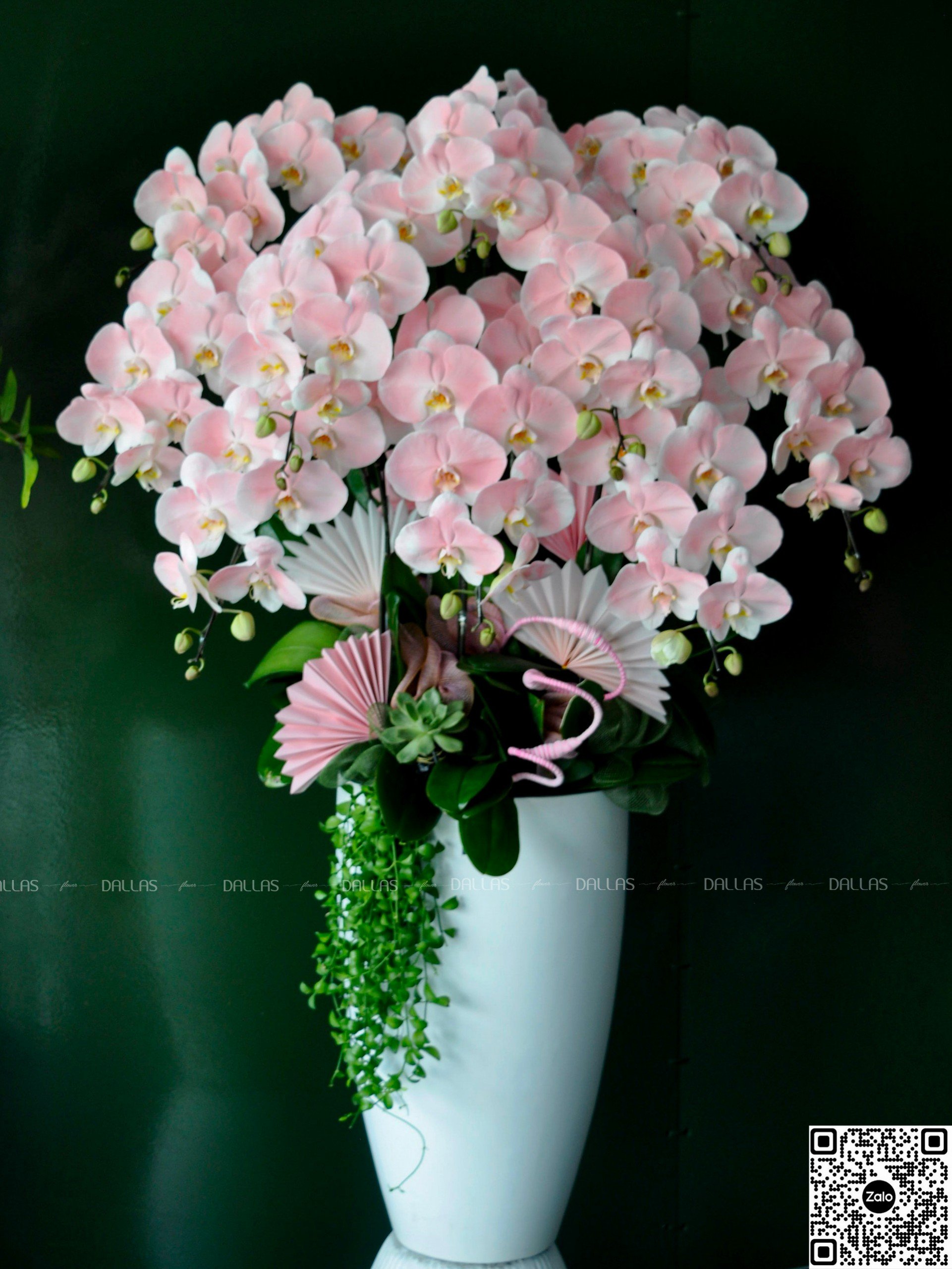 Chậu Lan Hồ Điệp Hồng Pastel 10 Cành (Đ10-NH1/01/CP) Chậu Lan Hồ Điệp Hồng Pastel 10 Cành (Đ10-NH1/01/CP)