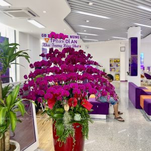 Chậu Lan Hồ Điệp Tím 30 Cành (Đ30-TI1/01/C)