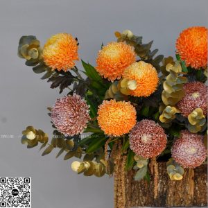 dallasflower-lanhodiep-hoakhaitruong-Lẵng Hoa Chúc Mừng Cúc Mẫu Đơn Cam - L020