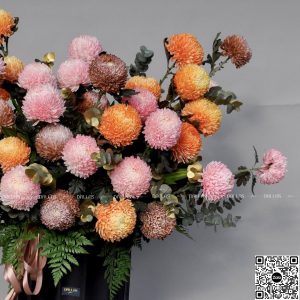 Dallasflower-lanhodiep-hoakhaitruong-Lẵng Hoa Chúc Mừng Cúc Mẫu Đơn - L003