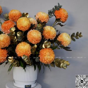 Dallas-Dallasflower-Lẵng Hoa Chúc Mừng Cúc Mẫu Đơn Cam - L021