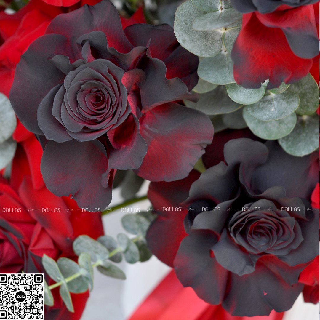 dallasflower-lanhodiep-hoakhaitruong-Lẵng Hoa Hồng Chúc Mừng - L019 dallasflower-lanhodiep-hoakhaitruong-Lẵng Hoa Hồng Chúc Mừng - L019