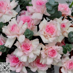 Lẵng Hoa Hồng Chúc Mừng - L015