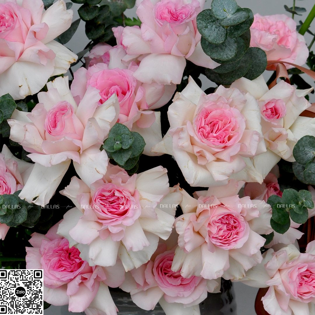 Lẵng Hoa Hồng Chúc Mừng - L015 Lẵng Hoa Hồng Chúc Mừng - L015