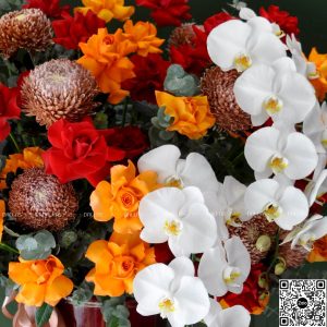 dallas-dallasflower-Lẵng Hoa Chúc Mừng Lan Hồ Điệp và Cúc Mẫu Đơn - L004