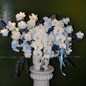 Lẵng Hoa Chúc Mừng Lan Hồ Điệp - L006