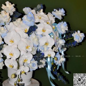 Lẵng Hoa Chúc Mừng Lan Hồ Điệp - L006