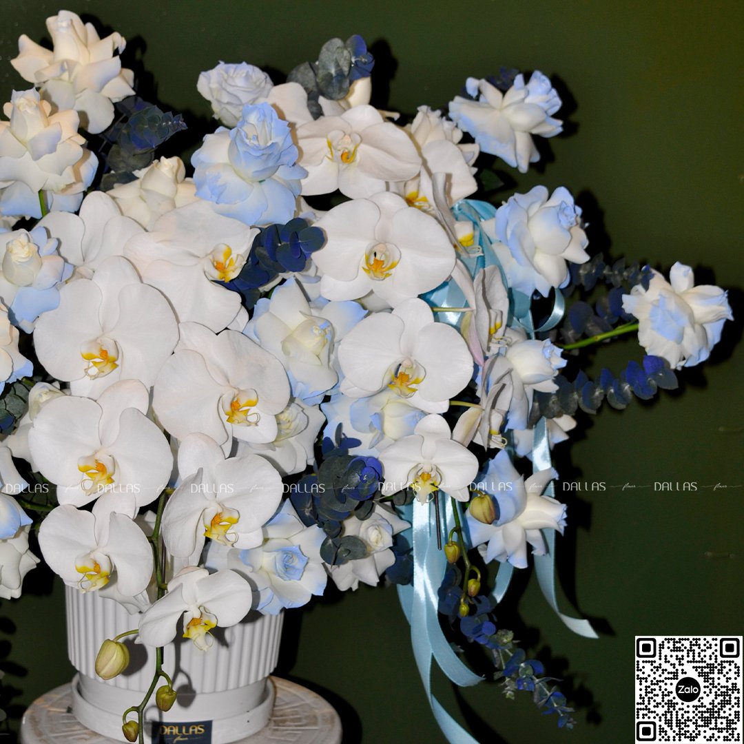 Dallasflower- hoakhaitruong-Lẵng Hoa Chúc Mừng Lan Hồ Điệp - L06 Lẵng Hoa Chúc Mừng Lan Hồ Điệp - L006