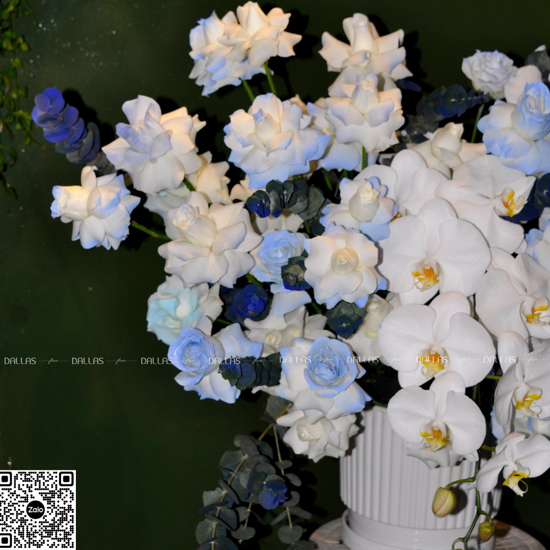 Lẵng Hoa Chúc Mừng Lan Hồ Điệp - L006 Lẵng Hoa Chúc Mừng Lan Hồ Điệp - L006