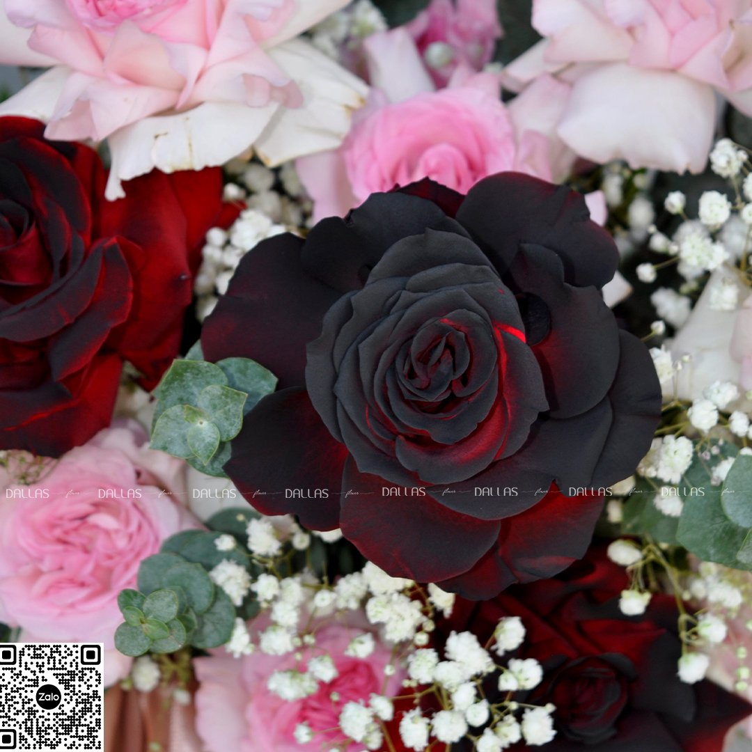 Dallasflower-lanhodiep-Lẵng Hoa Hồng Chúc Mừng - L010 Dallasflower-lanhodiep-Lẵng Hoa Hồng Chúc Mừng - L010