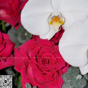 Lẵng Hoa Hồng Chúc Mừng - L023