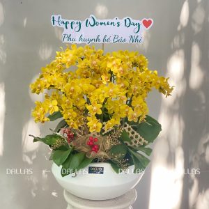 Chậu Lan Hồ Điệp Mini Vàng 14 Cành Đôi (M7-V2/04)