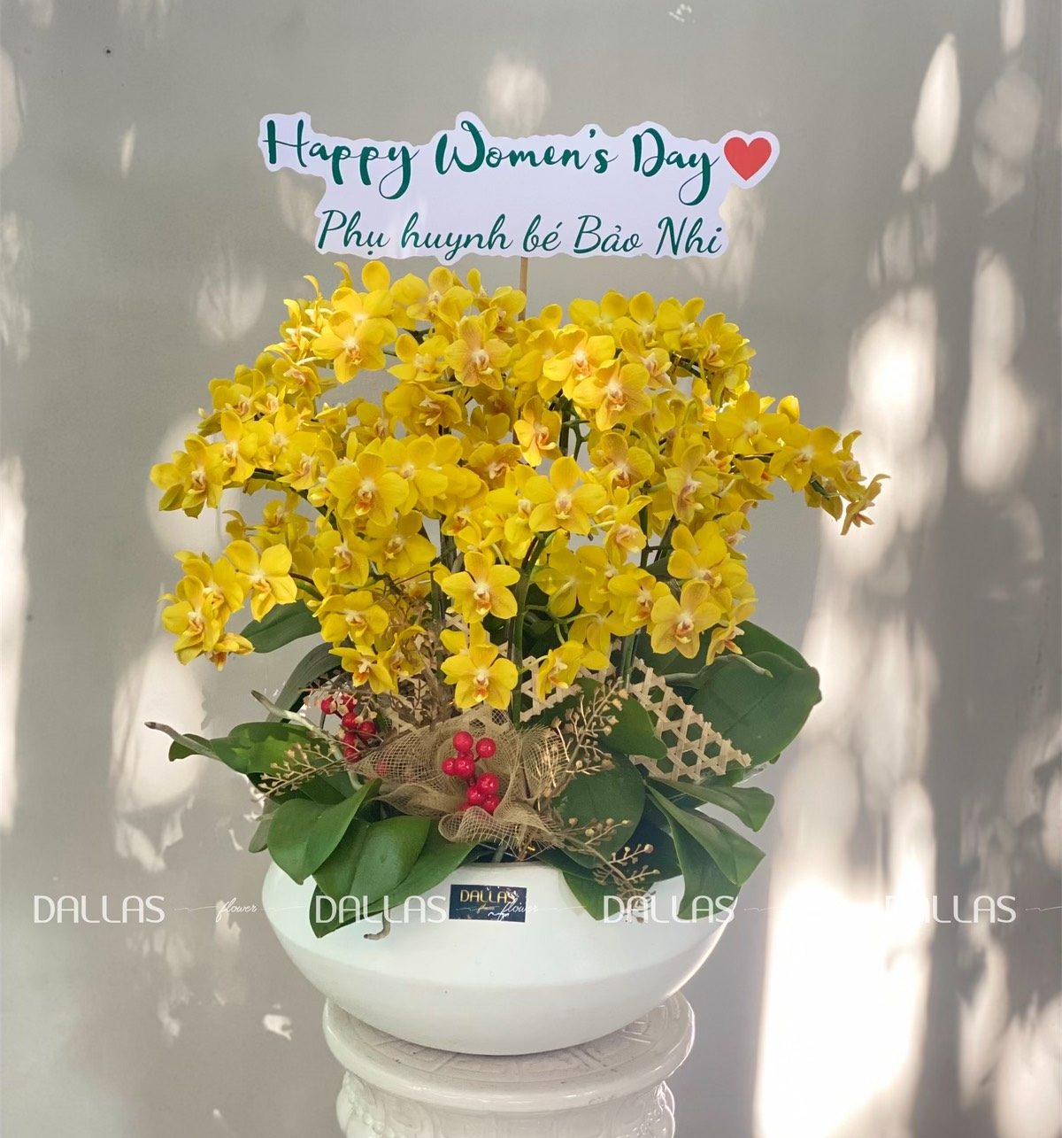 Chậu Lan Hồ Điệp Mini Vàng 14 Cành Đôi (M7-V2/04) Chậu Lan Hồ Điệp Mini Vàng 14 Cành Đôi (M7-V2/04)