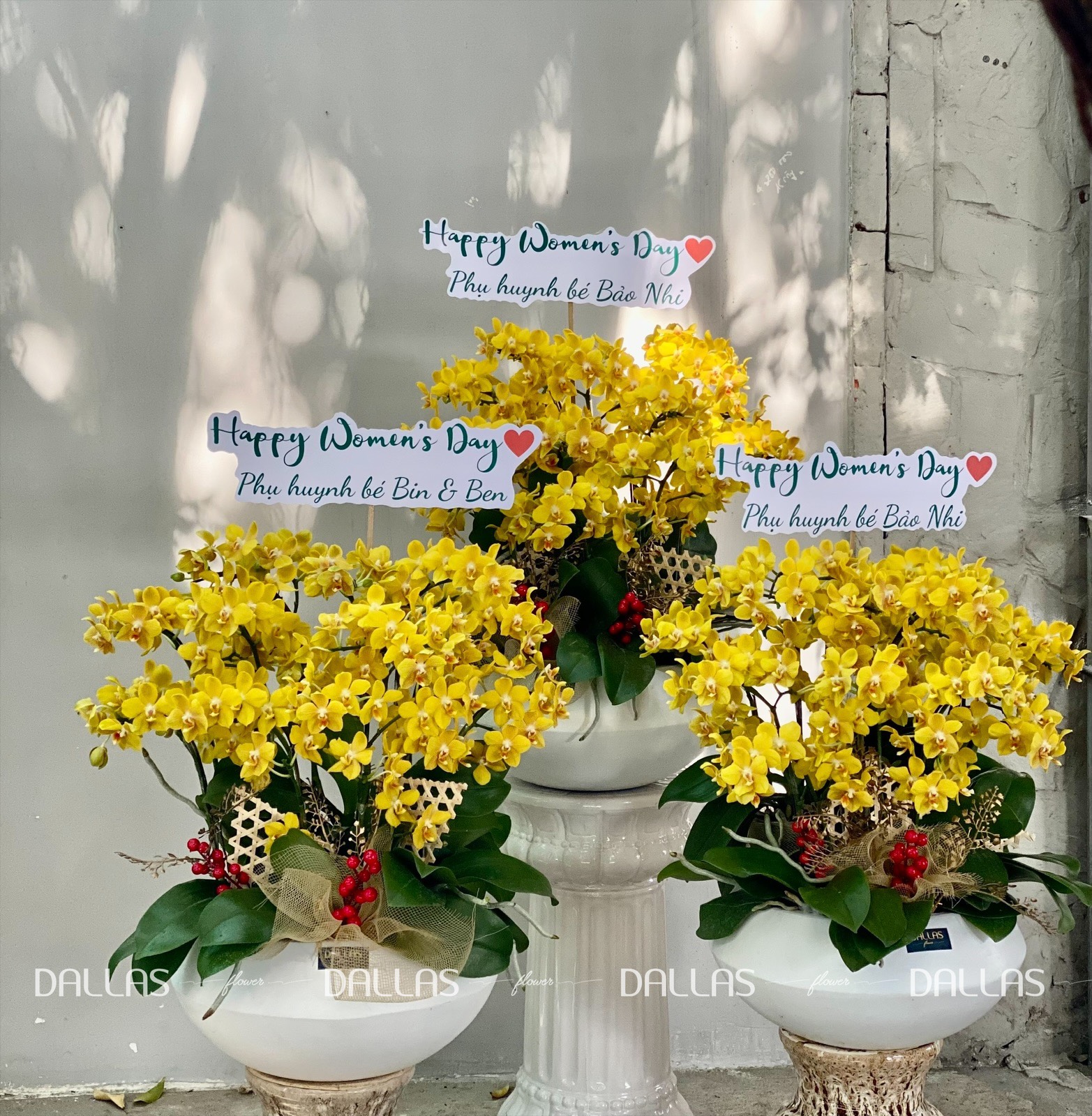 Chậu Lan Hồ Điệp Mini Vàng 14 Cành Đôi (M7-V2/04) Chậu Lan Hồ Điệp Mini Vàng 14 Cành Đôi (M7-V2/04)