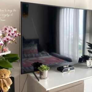 Chậu Lan Hồ Điệp Mini Hồng 8 Cành Đôi (M4-H2/03)