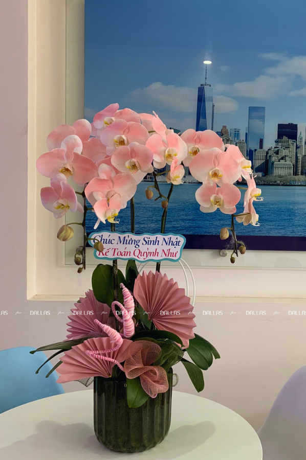 Chậu Lan Hồ Điệp Hồng Pastel 3 Cành (Đ3-NH1/01) Chậu Lan Hồ Điệp Hồng Pastel 3 Cành (Đ3-NH1/01)