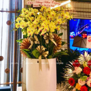 Lan Hồ Điệp Vàng 30 Cành Đôi (Đ15- V2/02/C)