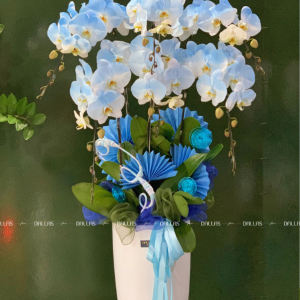 Chậu Lan Hồ Điệp Phun Màu Xanh Dương 6 Cành (Đ6-NX1/01)