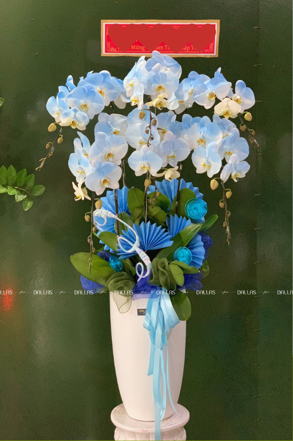Chậu Lan Hồ Điệp Phun Màu Xanh Dương 6 Cành (Đ6-NX1/01) Chậu Lan Hồ Điệp Phun Màu Xanh Dương 6 Cành (Đ6-NX1/01)