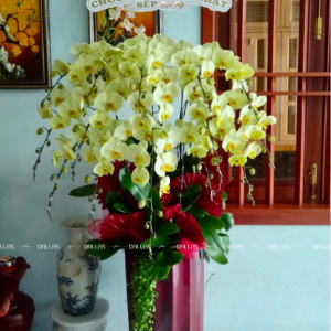 Chậu Hoa Lan Hồ Điệp Xanh Táo Chậu 15 Cành (Đ15-XT1/07/CP)