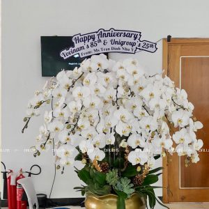 Chậu Lan Hồ Điệp Trắng 20 Cành (Đ20-TR1/01)