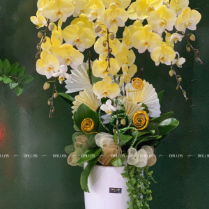 Chậu Lan Hồ Điệp Vàng Gold 6 Cành (Đ6-NV1/02)