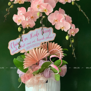 Chậu Lan Hồ Điệp Hồng Pastel 5 Cành (Đ5-NH1/04)