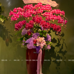 Chậu Hoa Lan Hồ Điệp Đột Biến Tím 15 Cành (Đ15-ĐB1/02/C)