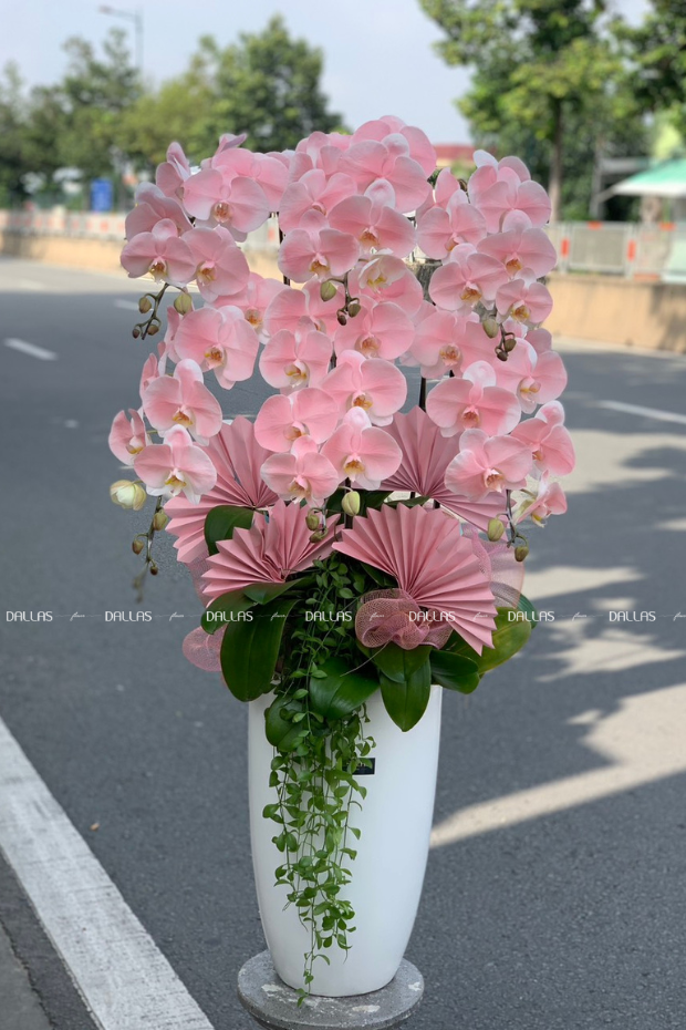 Chậu Lan Hồ Điệp Hồng Pastel Signature 6 Cành (Đ6-NH1/02) Chậu Lan Hồ Điệp Hồng Pastel Signature 6 Cành (Đ6-NH1/02)