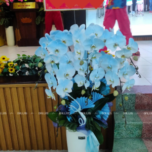 Chậu Lan Hồ Điệp Phun Màu Xanh Dương 6 Cành (Đ6-NX1/01)