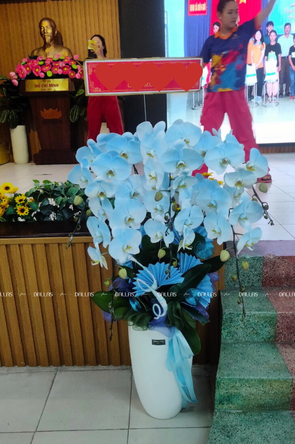 Chậu Lan Hồ Điệp Phun Màu Xanh Dương 6 Cành (Đ6-NX1/01) Chậu Lan Hồ Điệp Phun Màu Xanh Dương 6 Cành (Đ6-NX1/01)