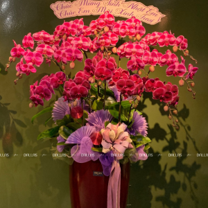 Chậu Hoa Lan Hồ Điệp Đột Biến Tím 15 Cành (Đ15-ĐB1/02/C)