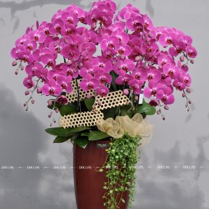 Chậu Lan Hồ Điệp Tím 15 Cành (Đ15-TI1/02/C)