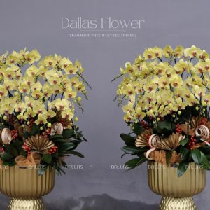 Chậu Lan Hồ Điệp Vàng 20 Cành (Đ20-V1/03)