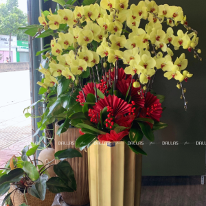 Chậu Hoa Lan Hồ Điệp Vàng 15 Cành (Đ15-V1/03/CP)