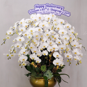 Chậu Lan Hồ Điệp Trắng 20 Cành (Đ20-TR1/01)