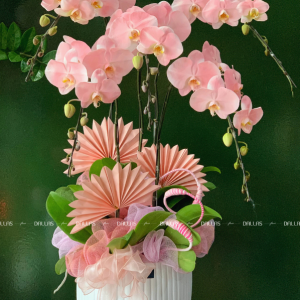 Chậu Lan Hồ Điệp Hồng Pastel 5 Cành (Đ5-NH1/04)