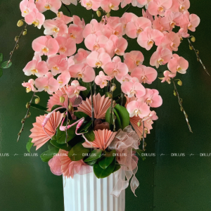Chậu Lan Hồ Điệp Hồng Pastel 8 Cành (Đ8-NH1/04)