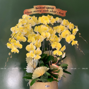 Chậu Lan Hồ Điệp Màu Vàng Gold 8 Cành (Đ8-NV1/01)