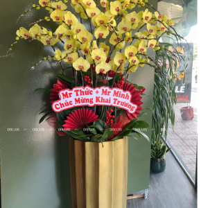 Chậu Lan Hồ Điệp Vàng 15 Cành (Đ15- V1/03/CP)