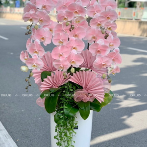 Chậu Lan Hồ Điệp Hồng Pastel Signature 6 Cành (Đ6-NH1/02)