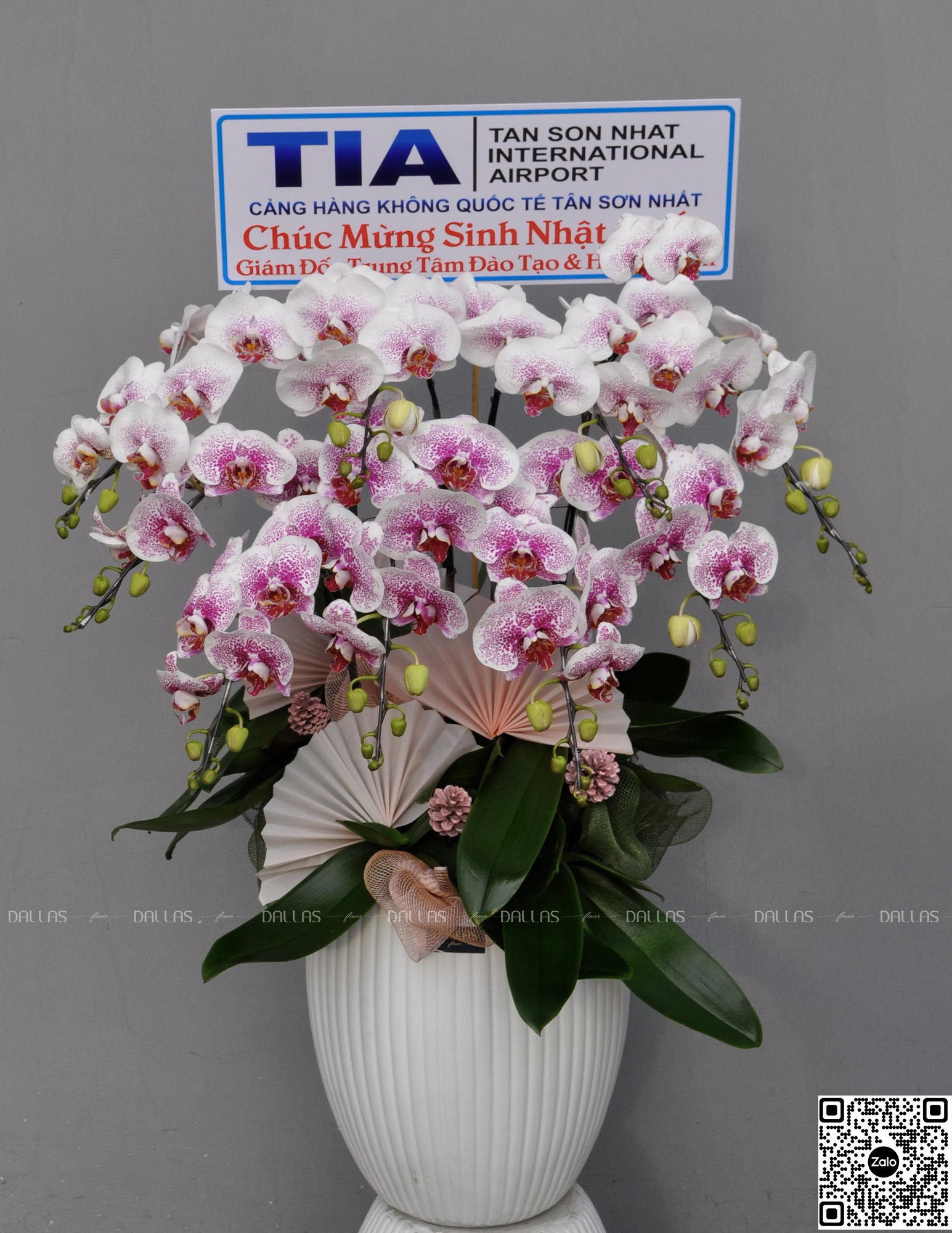 TIA - Lan Hồ Điệp Món Quà Tặng Sinh Nhật Ý Nghĩa Tặng Sếp