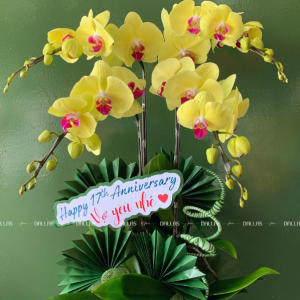 Chậu Lan Hồ Điệp Vàng 4 Cành (Đ4-V1/01)