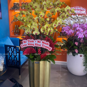 Chậu Lan Hồ Điệp Vàng 15 Cành (Đ15- V1/03/CP)